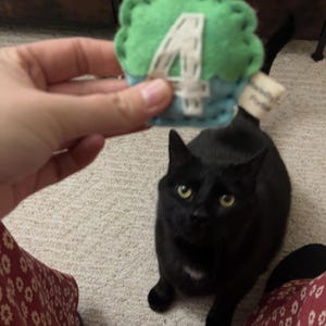 Christine added a photo of their purchase