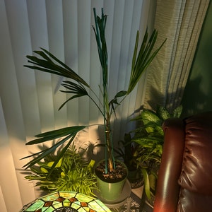 William added a photo of their purchase