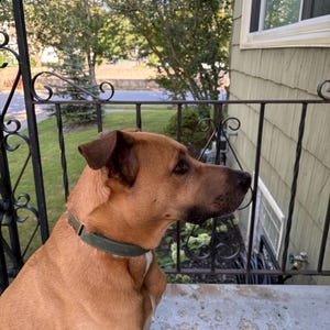Martha added a photo of their purchase