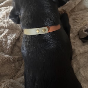Kim added a photo of their purchase