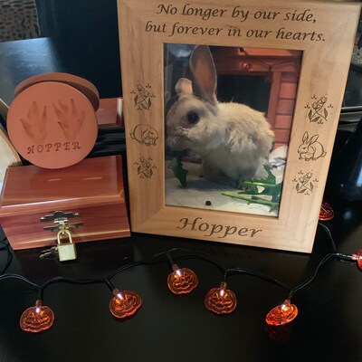 Create Your Own Sentiment Bunny Gift, Memory Bunny, Bunny Memorial ...