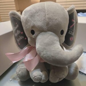Laney ha añadido una foto de su compra