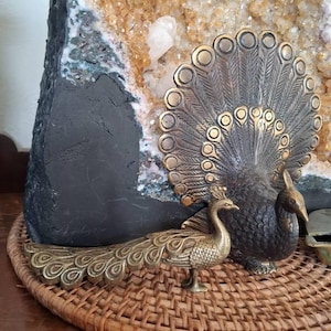 Claire added a photo of their purchase