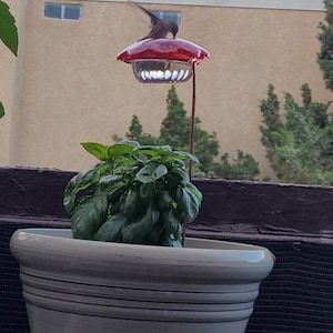 SPE added a photo of their purchase