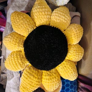 Carolyna added a photo of their purchase
