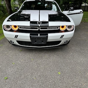 David added a photo of their purchase