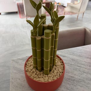 Holly ha añadido una foto de su compra