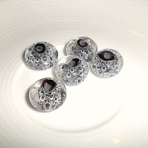 gisela さんが購入した商品の写真を追加しました