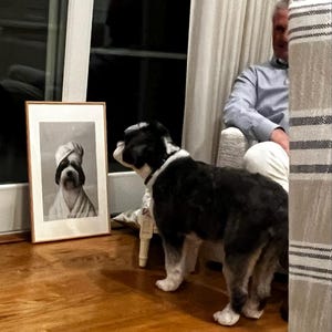 Jill ha añadido una foto de su compra
