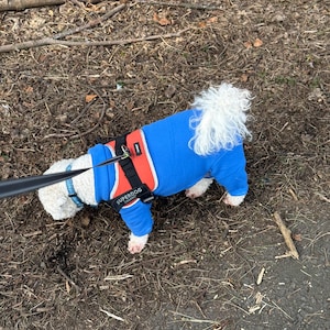 PawsitivelyCharmingCreations added a photo of their purchase