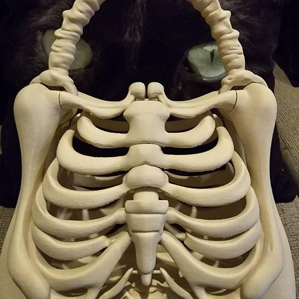 3D Printed Skull Bag – Skeleton Rib Cage Purse – Gothic Bone Handbag ...