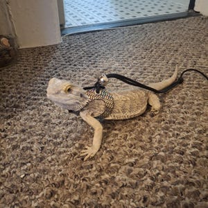 Ellie added a photo of their purchase