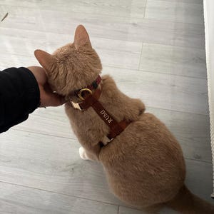 Janet ha añadido una foto de su compra