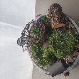 Tina added a photo of their purchase