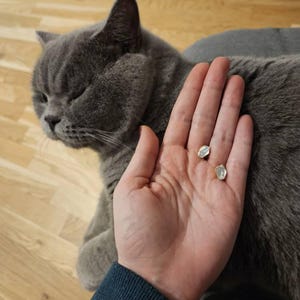 Customer photo from Dely, Large Raw Herkimer Diamond Stud Earrings in Yellow Gold