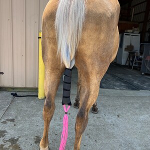 Tail boot shop for horses