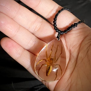AnnaM added a photo of their purchase