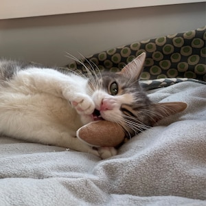 Amy a ajouté une photo de son achat