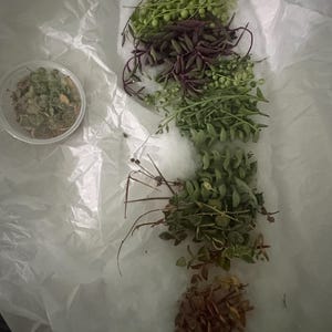 Comprador de Etsy ha añadido una foto de su compra