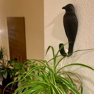 Wendy added a photo of their purchase