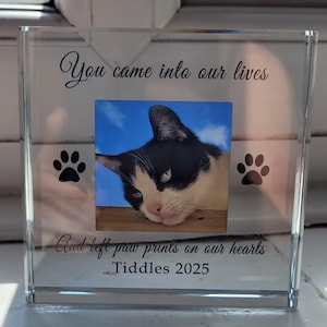 Maxine added a photo of their purchase