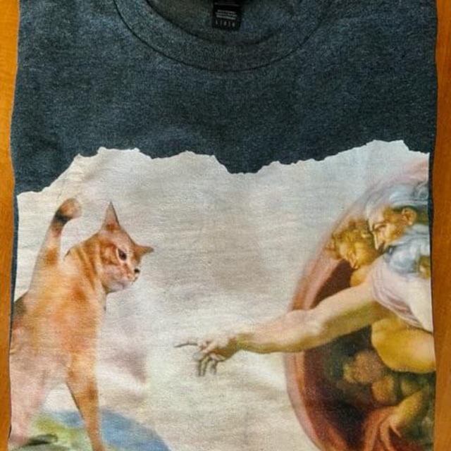 The Divine Swipe T-shirt - Funny Cat Swatting God's Hand
