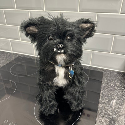 Custom Pet Handmade Stuffed Clone, Custom Pet Stuffed Animal, Custom