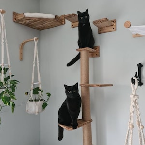Wood Cat Steps Cat Shelves Cat Furniture Cat Gifts Cat - Etsy