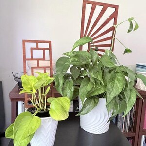 Taneha added a photo of their purchase