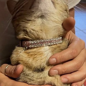 Alessia added a photo of their purchase