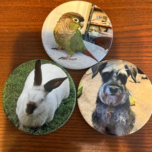 Karen added a photo of their purchase