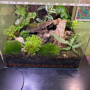 Ananda added a photo of their purchase