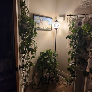 foxy added a photo of their purchase