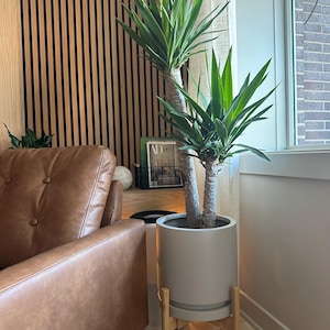 L added a photo of their purchase