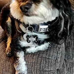 Shelby added a photo of their purchase
