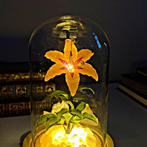 Susan added a photo of their purchase
