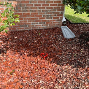 Denise added a photo of their purchase