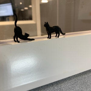 Lori added a photo of their purchase