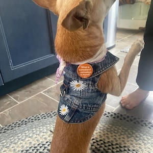 Lois added a photo of their purchase