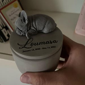 augi added a photo of their purchase