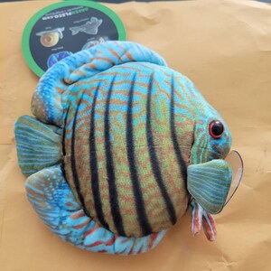 ぬいぐるみ✖️6 ディスカス ぬいぐるみ (6インチ) - Etsy 日本