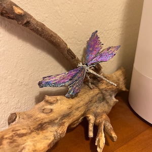B added a photo of their purchase