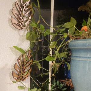 Helen added a photo of their purchase