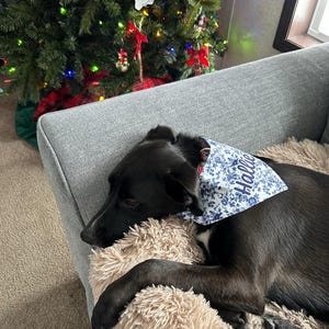 Ann added a photo of their purchase