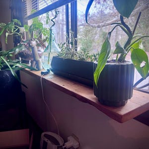 tijuana added a photo of their purchase