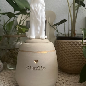 vicky added a photo of their purchase