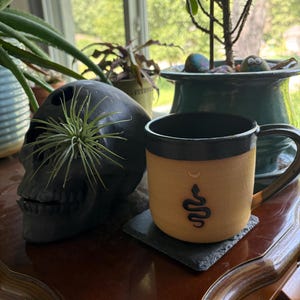 Rachel added a photo of their purchase