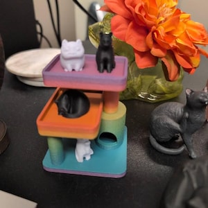 Leslie added a photo of their purchase