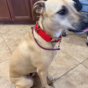 Sydney hat ein Foto des gekauften Artikels hinzugefügt