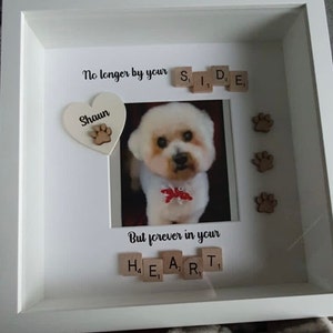 Stacey added a photo of their purchase